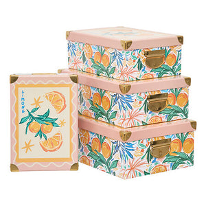 Комплект 4 кутии 5five Box' Eden, Картон, Оранжев